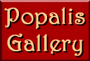 Popalis Gallery