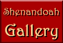 Shenandoah Gallery