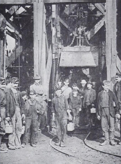Shenandoah Miners